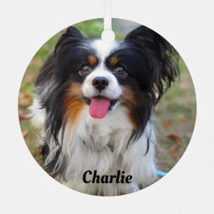 Personalised Tri Colour Papillon Puppy Dog Metal Tree Decoration