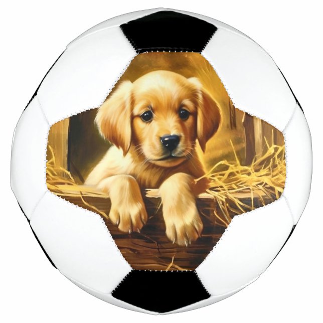 Personalised Trophy Soccer Ball (Front)