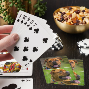 Personalised Two Pet Photo  Playing Cards