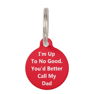Personalised Up To No Good Pet Tag