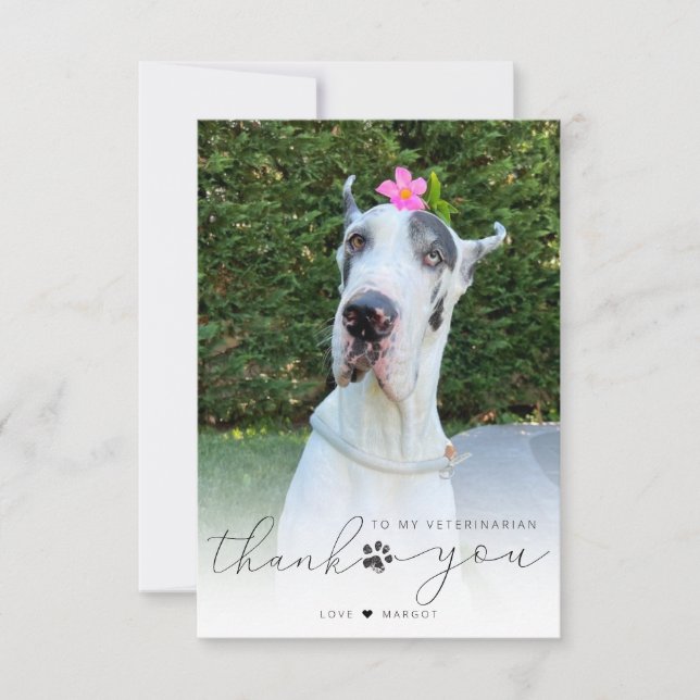 Personalised Veterinarian Pet Care Pet Photo Thank You Card (Front)