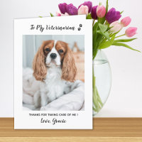 Personalised Veterinarian Pet Care Pet Photo