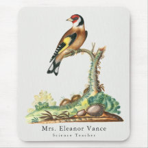 Personalised Vintage Botanical Bird Teacher