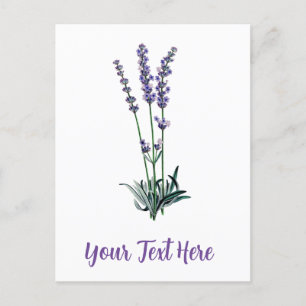 Personalised Vintage Lavender Flower Postcard