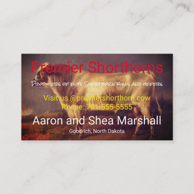 Personalised Vintage Shorthorn Bull Business Card (Front)