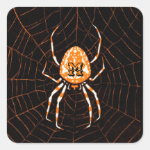 Personalised Vintage Spider Black Orange Halloween