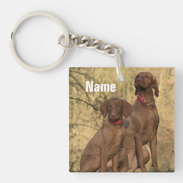 Personalised Vizsla Hound Dogs Key Ring (Front)