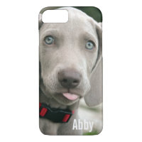 Personalised Weimaraner Dog Photo and Dog Name