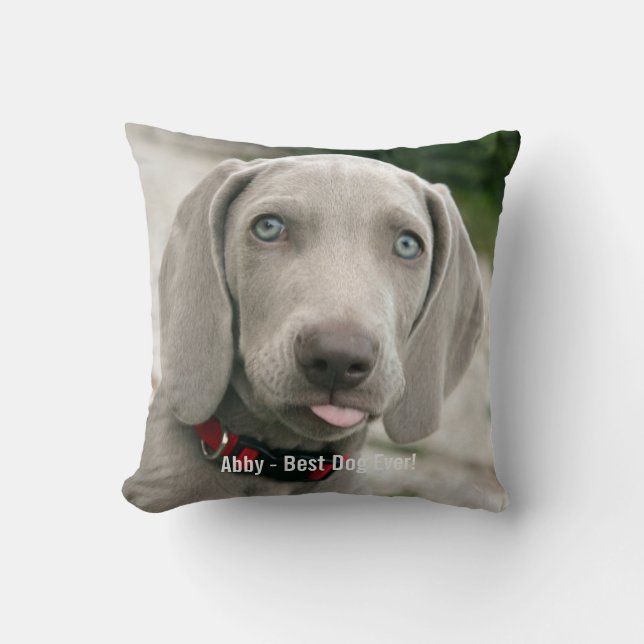 Personalised Weimaraner Dog Photo and Dog Name Cushion (Front)