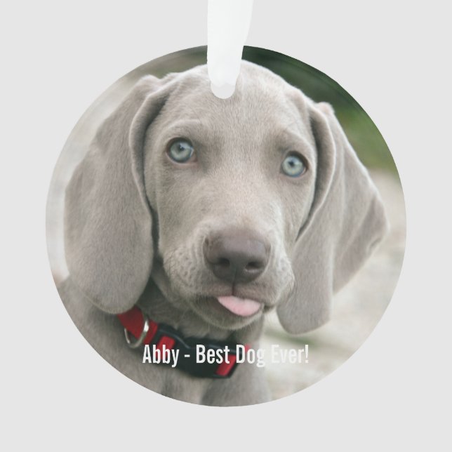 Personalised Weimaraner Dog Photo and Dog Name Ornament (Front)