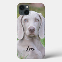 Personalised Weimaraner Puppy Dog