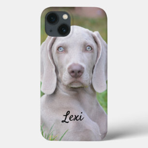 Personalised Weimaraner Puppy Dog iPhone 13 Case