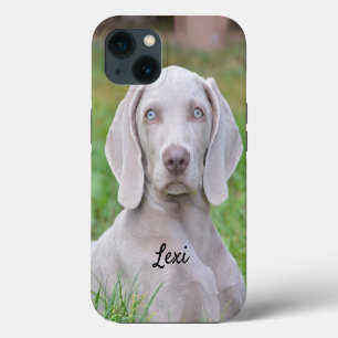 Personalised Weimaraner Puppy Dog iPhone 13 Case