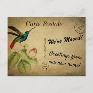 Personalised We've Moved Announcement Vintage Bird Postcard