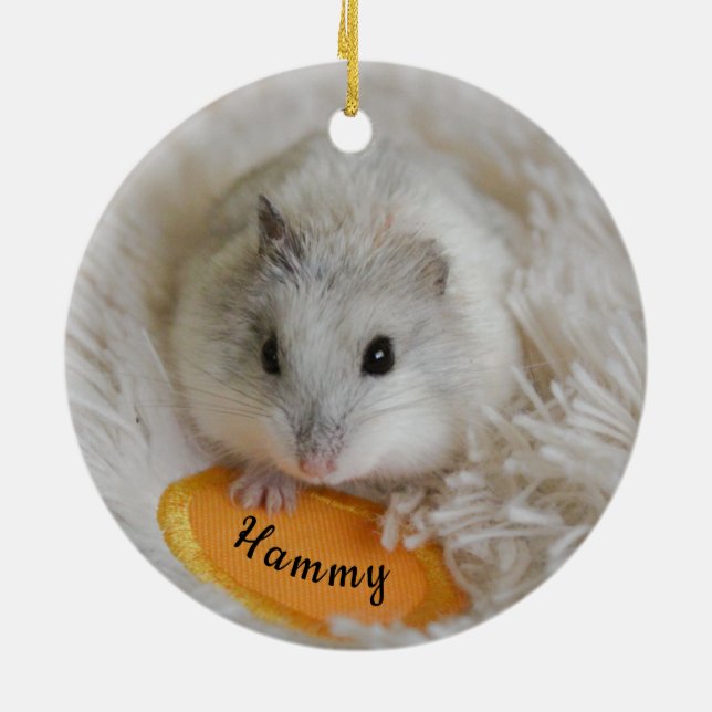 Personalised White Dwarf Hamster Pet Ceramic Tree Decoration (Back)