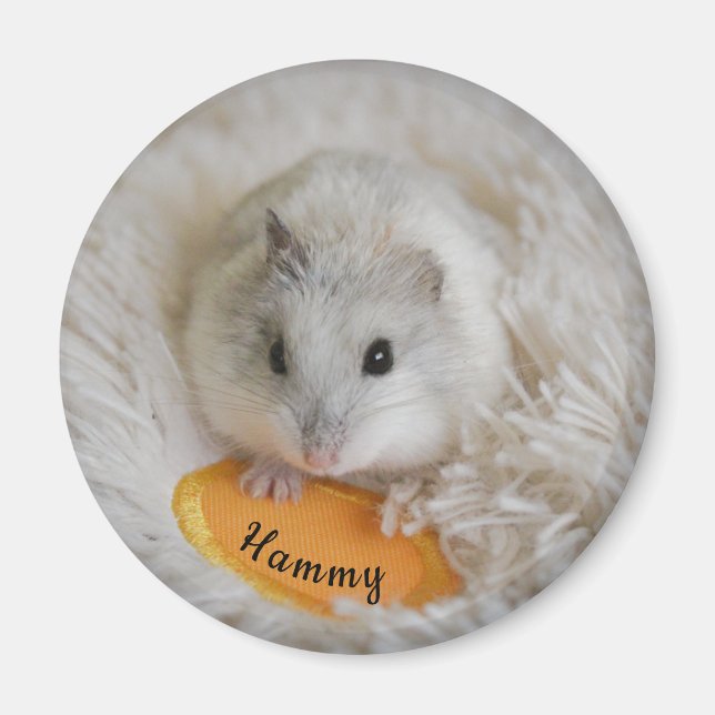 Personalised White Dwarf Hamster Pet  Magnet (Front)