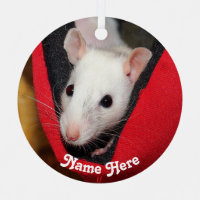 Personalised White Fancy Pet Rat