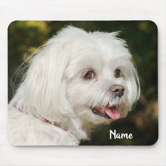 Personalised White Maltese Puppy Dog Mouse Mat (Front)