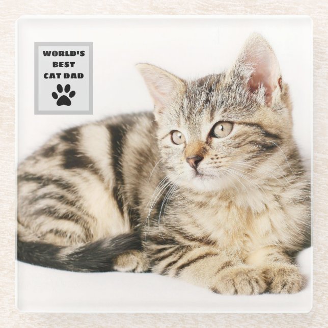 Personalised World's Best Cat Dad Custom Photo Glass Coaster (Front)
