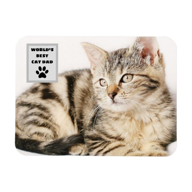 Personalised World's Best Cat Dad Custom Photo Magnet (Horizontal)