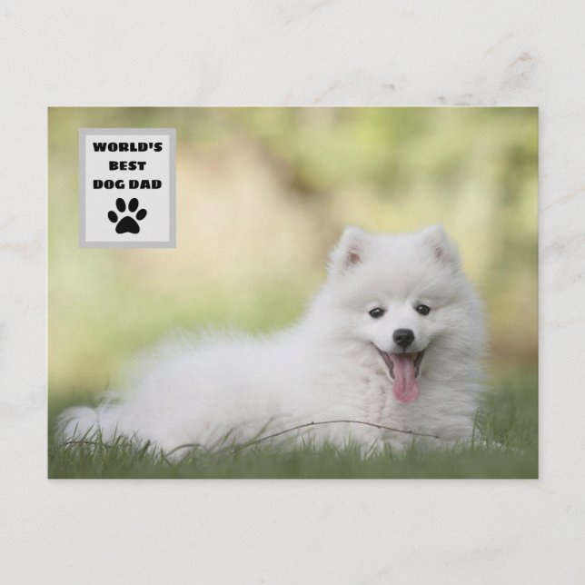 Personalised World's Best Dog Dad Custom Photo Holiday Postcard (Front)