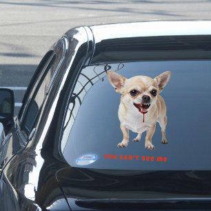Personalised You Can't See Me Chihuahua WWE Car Window Cling
