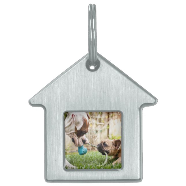 Personalised Your Pet Dog Cat Photo Picture Image  ID Tag (Front)