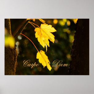 Personalizable Carpe Diem with colorful leaf Poste Poster