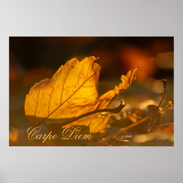Personalizable Carpe Diem with colourful leaf Post Poster (Front)