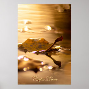 Personalizable Carpe Diem with colourful leaf Post Poster