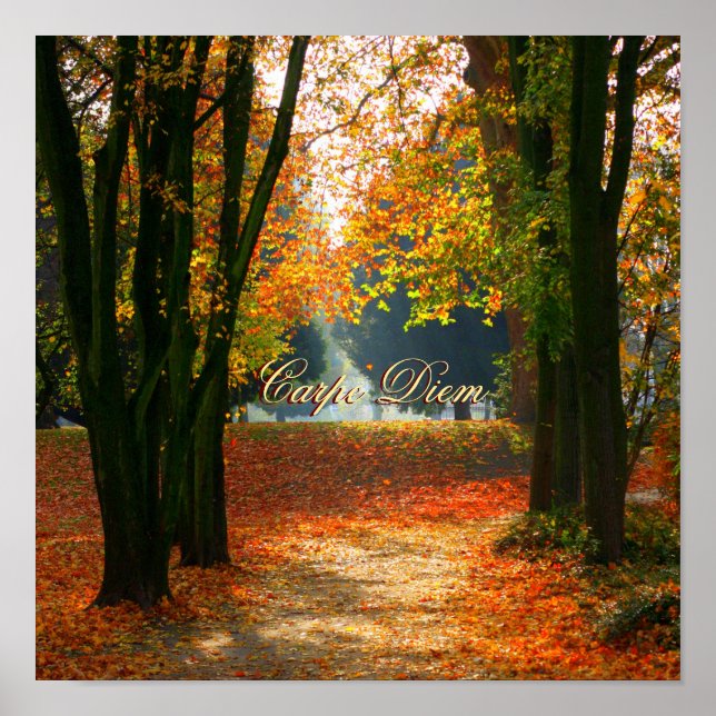 Personalizable Carpe Diem with colourful leaf Poster (Front)