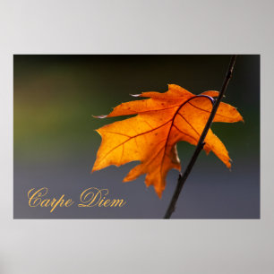 Personalizable Carpe Diem with colourful leaf Poster