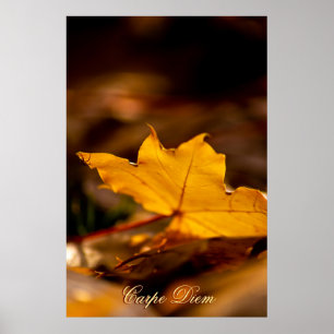 Personalizable Carpe Diem with colourful leaf Poster