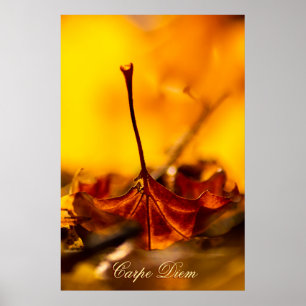Personalizable Carpe Diem with colourful leaf Poster