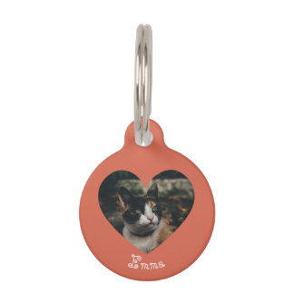 Personalizable Ornament Pet Tag