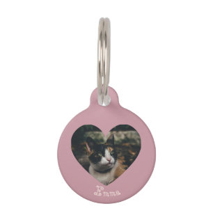 Personalizable Ornament Pet Tag