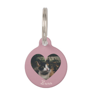 Personalizable Ornament Pet Tag