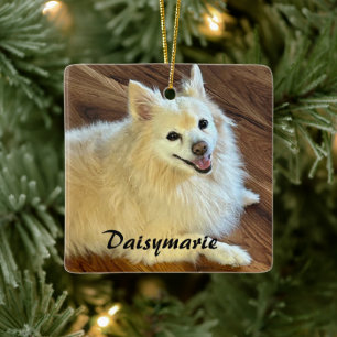 Personalize beautiful Pet photo and name Ceramic Ornament