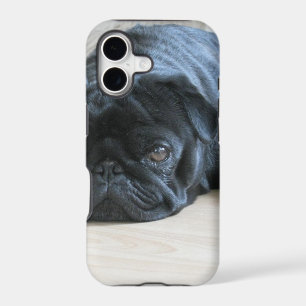 Personalize cute black Pug Puppy accessories name