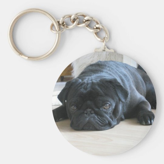 black pug items