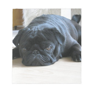 Personalize cute black Pug Puppy accessories name Notepad