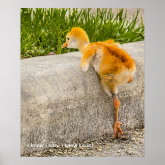 Personalize cute chick "I know I can. I know I can Poster