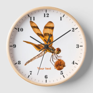 Personalize Orange Dragonfly on Bur-reed Clock