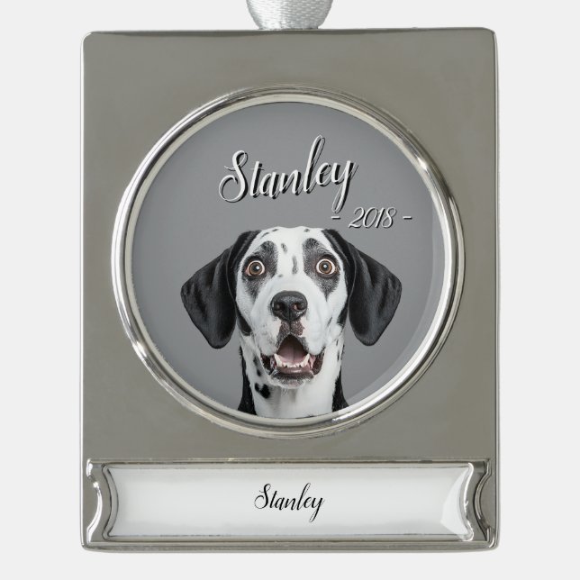 personalize pet name & picture silver plated banner ornament (Front)