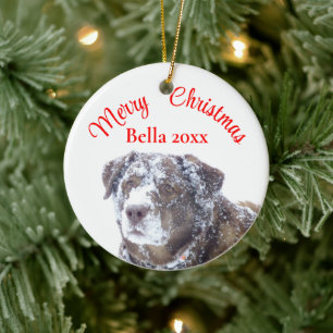 Personalize pet photo template ceramic tree decoration