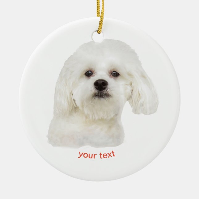 Personalize white  Maltese puppy Ceramic Tree Decoration (Front)