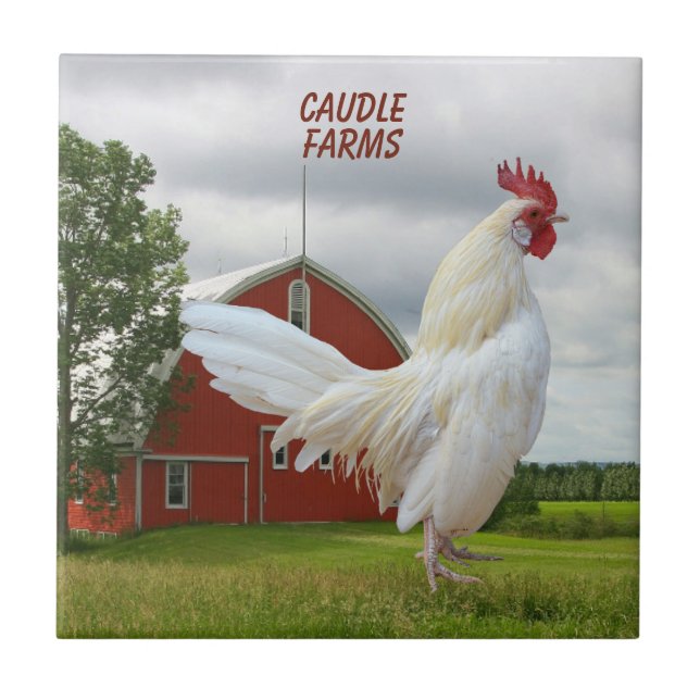 PERSONALIZE WHITE ROCK ROOSTER CERAMIC TILE (Front)