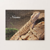 Personalized Baby Bearded Dragon Lizard