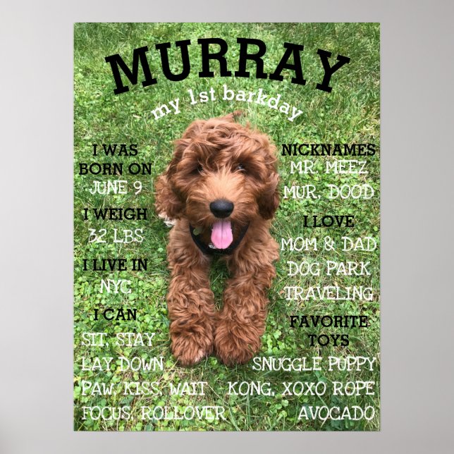 Personalized BARKday Dog Birthday Party Milestone Poster (Front)