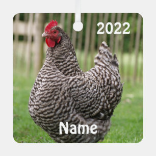 Personalized Barred Rock Hen  - Pet Chicken Metal Tree Decoration